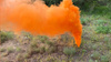 MINA NACISKOWA - Dymna - Paintball - ASG - MN-1 - B&G